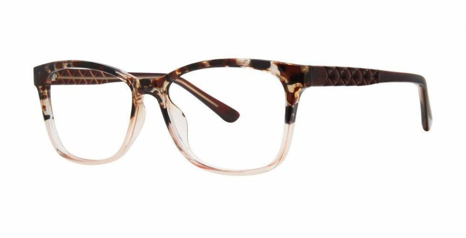 brown-tortoise-2
